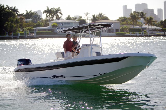 A Ultra Elite 23SS is a Power and could be classed as a Skiff,  or, just an overall Great Boat!